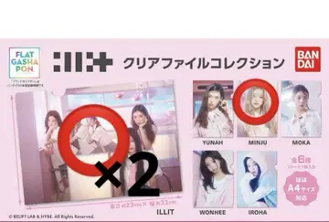 ILLIT 클리어 파일 컬렉션 민주
