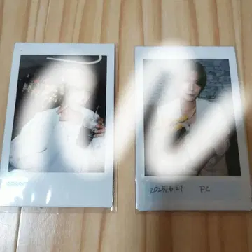 AmAmp 암암프 폴라로이드 미야기 코다이