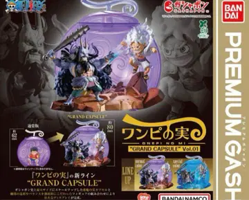 ONE PIECE 원피스 열매 GRAND CAPSULE 컴프 전 2종