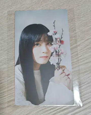 사쿠라자카46 사쿠코레 리얼 카드 야마시타 시즈키