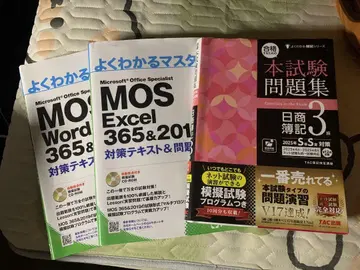 알기 쉬운 마스터 MOS Word Excel 일상부기