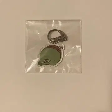 구치츠보 아크링 키링 빌레반 VV