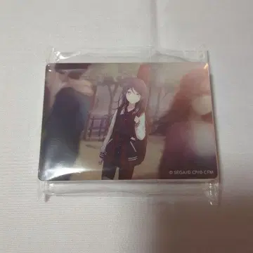 프로젝트 세카이 노블 아트 호시노 이치카