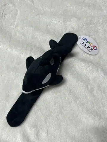 카모가와 씨월드 찰칵 프렌즈 샤치 오르카