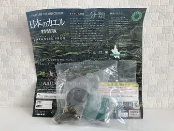 네이처 테크니컬러 일본의 개구리