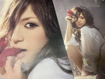하마사키 아유미 2006 아레나 투어 포스터 2장 세트