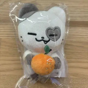itzy 예지 백참