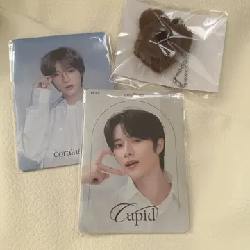 coralhaze 범규 트레이딩 카드 곰 키링