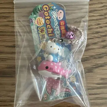 고토치 키티 오키나와 진베이 상어