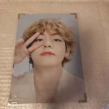 BTS V 사진 패널
