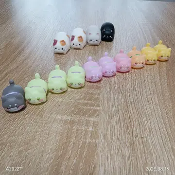 시바견 & 고양이 합쳐서 14마리