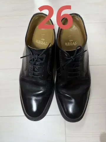 리갈 플레인토 26cm