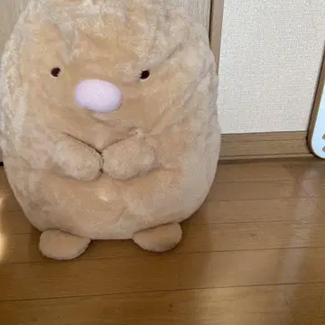 스미코구라시 돈카츠