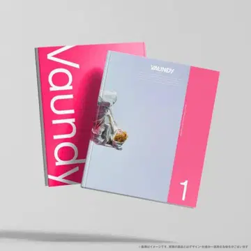 Vaundy VAWS premium photo book #01