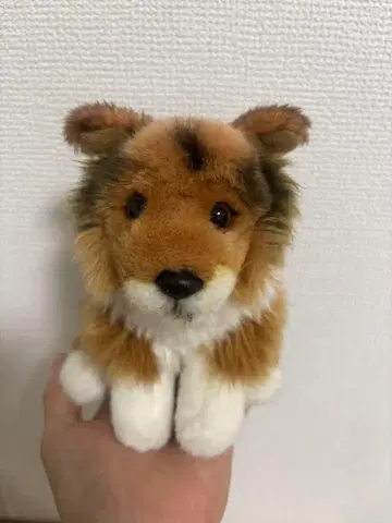 [ 257n5953 ] 레가로 쉘티 봉제 인형 리얼 도그 컬렉션