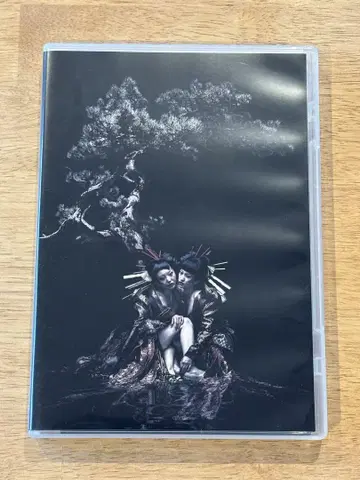 the GazettE/LIVE TOUR 12-13 [ DIVISION ]