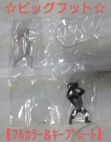 최강왕 도감 피규어 UMA 최강왕 도감 빅풋 풀컬러 키 플레이트