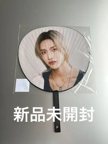 RIIZE 원빈 부채