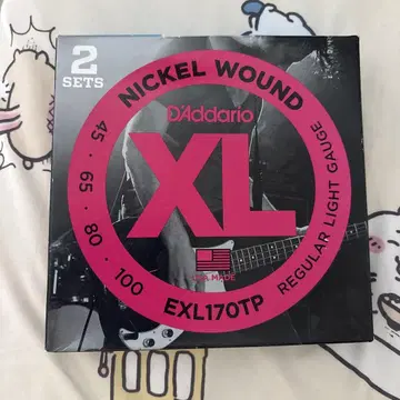 D'Addario EXL170TP 일렉 베이스 줄 2세트