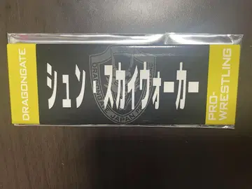 드래곤 게이트 이름 캔뱃지 슌 스카이워커