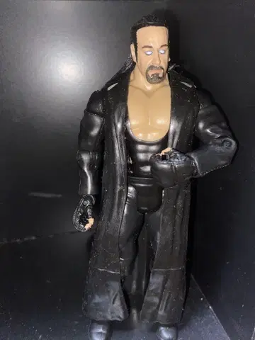 WWE 피규어 프로레슬링 피규어
