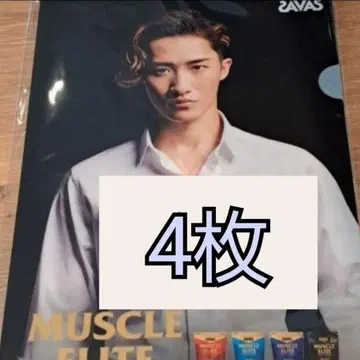자바스 이와모토 히카루 클리어 파일 5매