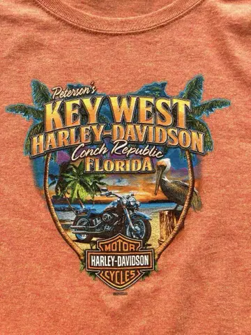 할리데이비슨 Harley-Davidson 오버사이즈 티셔츠