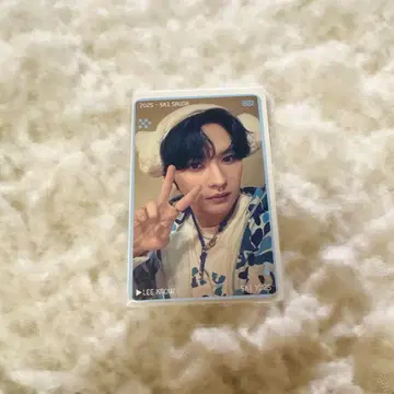 팝업 리노