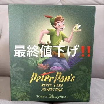 디즈니 판타지 스프링스 피터팬