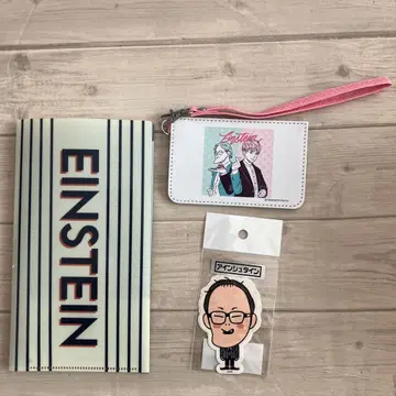 아인슈타인 티켓 홀더 스티커 패스 케이스 묶음 판매