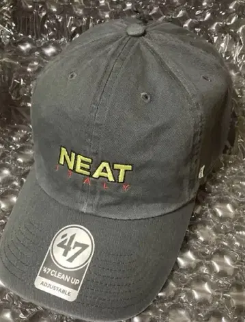 니트 NEAT ITALY 차콜 CAP 캡 모자