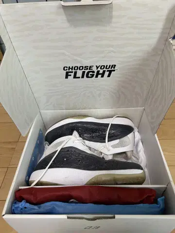 AIR JORDAN 2011