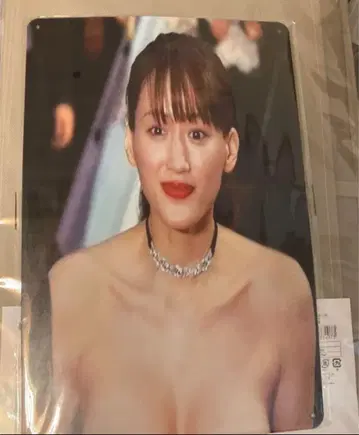 아야세 하루카 초상 플레이트