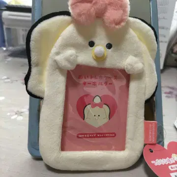 똘망똘망한 눈망울의 생굴
