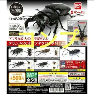 생물대도감 04 컴프 전5종