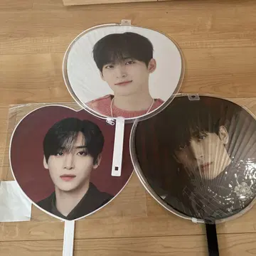 CRAVITY 정모 부채