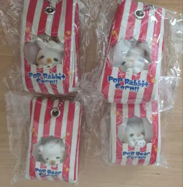 팝콘 곰