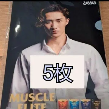 자바스 이와모토 히카루 클리어 파일 3매