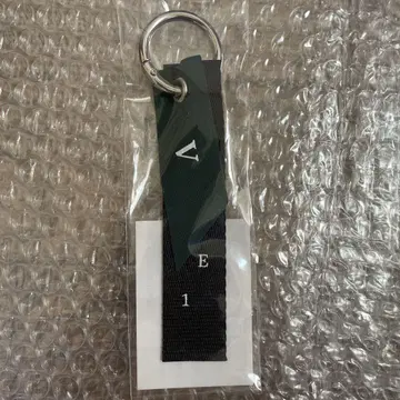 BTS V 태현 테테 TYPE 1 DIY 키링 베이스
