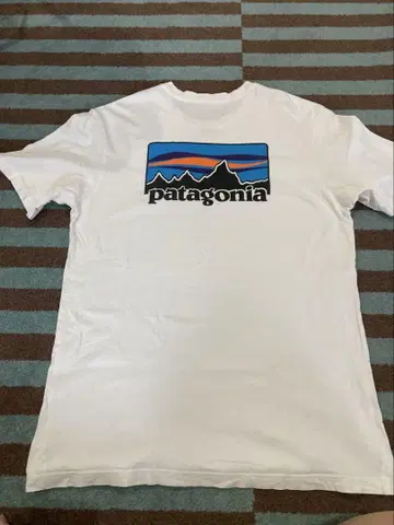 Patagonia 티셔츠 코튼