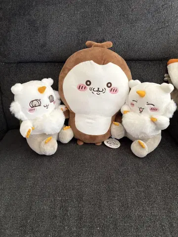 치이카부, 아노코