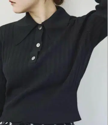 IENA 이에나 카라 숏 니트 풀오버 폴로 니트