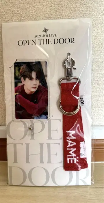 2021 JOY LIVE OPEN THE DOOR 키링