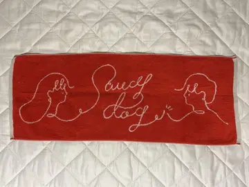 Saucy Dog 타월