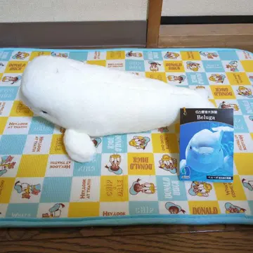 나고야항 수족관 사육사 감수 벨루가 봉제 인형 (택 포함)