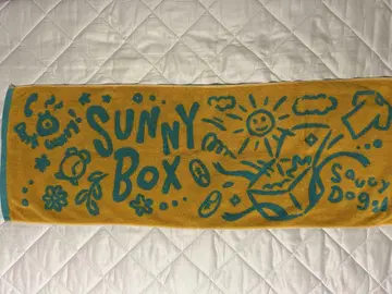 Saucy Dog sunny box 타월
