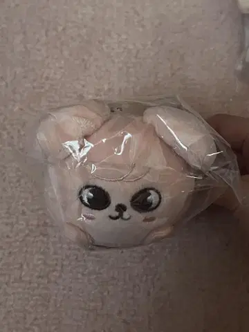 SKZOO 미니 백참 PuppyM 퍼핌