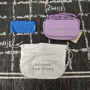 BEYOND THE VINES 2way 백 숄더백 미니