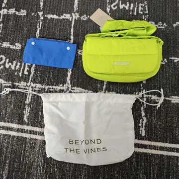 BEYOND THE VINES 2way 백 숄더백 미니