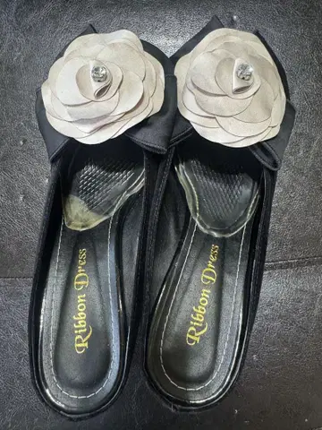 아시야 그레이스 뮬